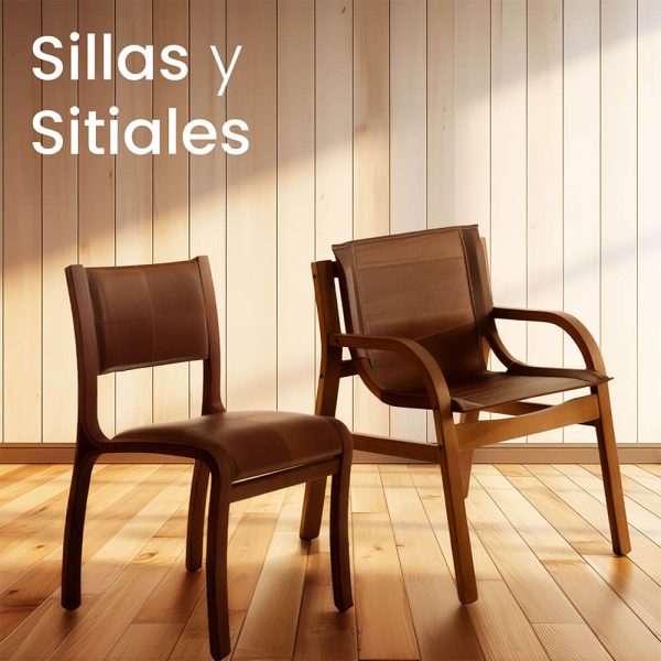 Sillas y Sitiales